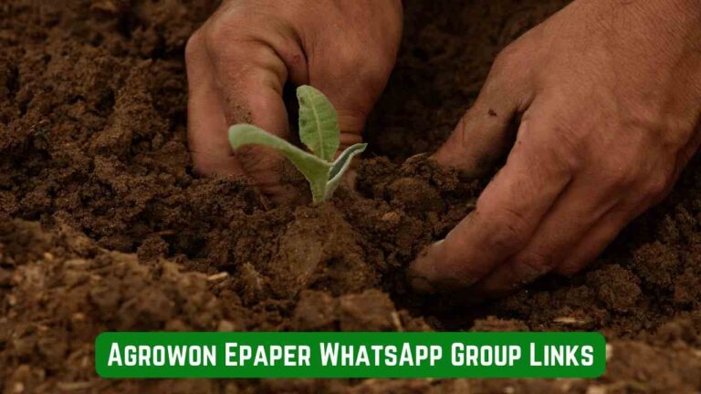 Agrowon Epaper WhatsApp Group Links