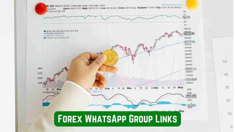 Forex WhatsApp Group Links